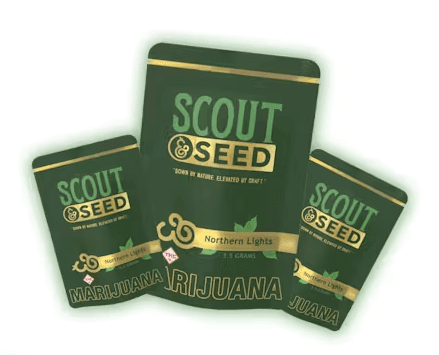 Scout & Seed AK Ghost Breath #1