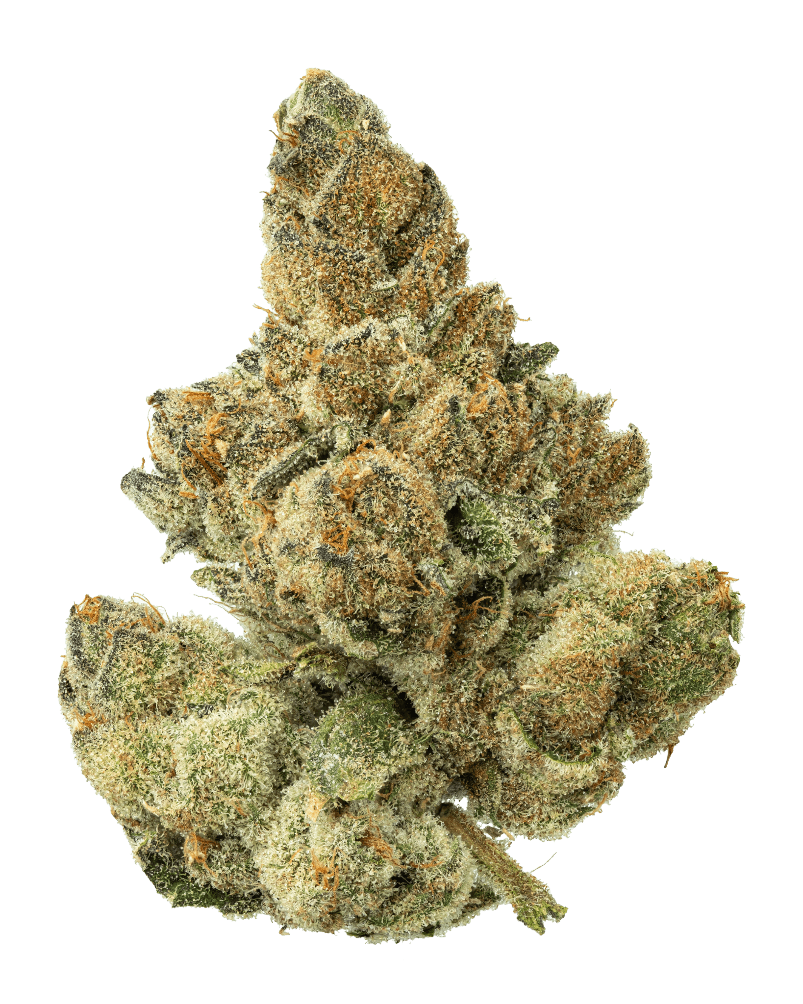 Fresh Alien OG