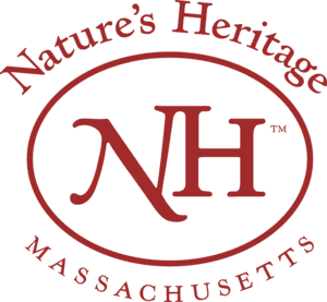 Nature's Heritage Banana Punch Live Resin Disposable Vape