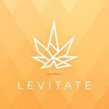 Levitate 510 Vape Cartridge - 1g - GDP