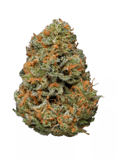 Craft Hydroponic