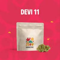 Springtime Devi 11