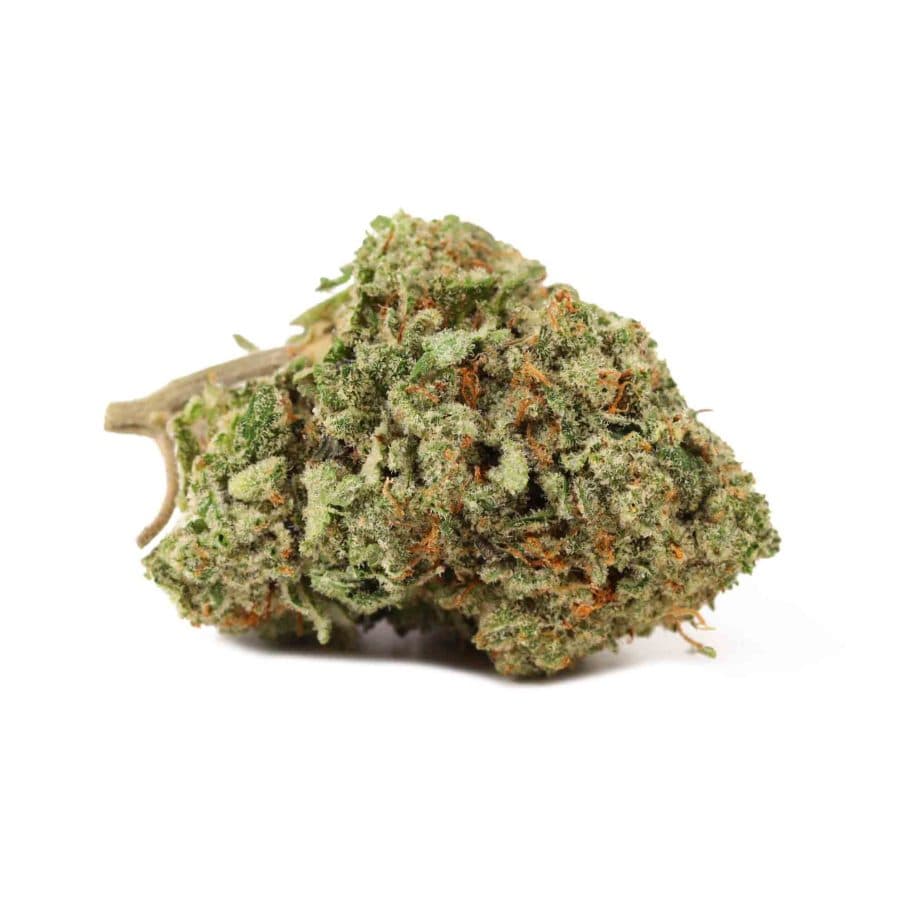 Equinox Equinox Pre-Pack Flower JAR - Stunna Runtz