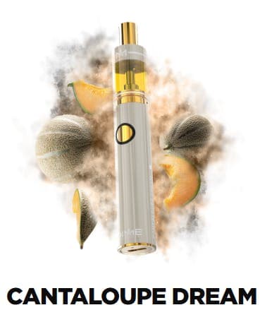 Dime Industries Cantaloupe Dream (Disposable) | 2g