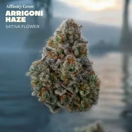 Affinity Grow Arrigoni Haze Flower T23.18% S 01003