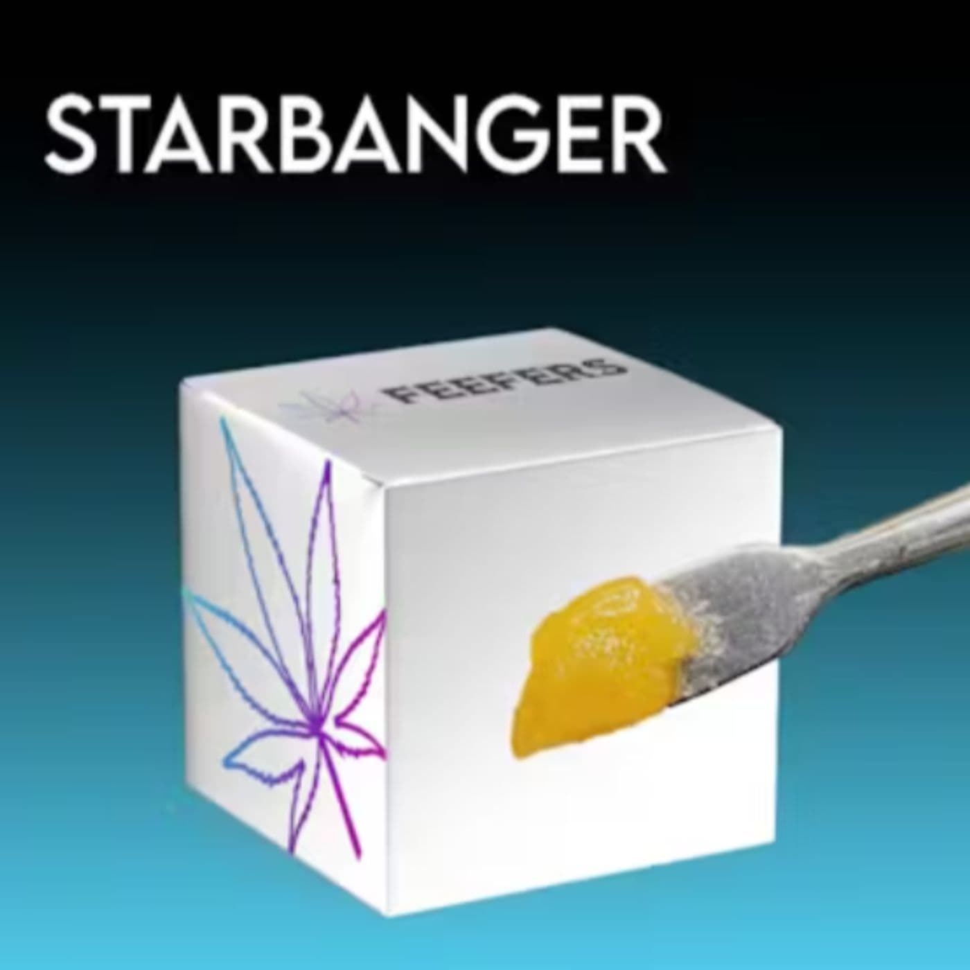 FEEFERS Feefers - Starbanger Live Sugar