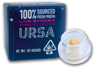 Ursa