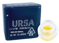 Ursa