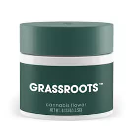 Grassroots Wild Garlic | Popcorn | 7g