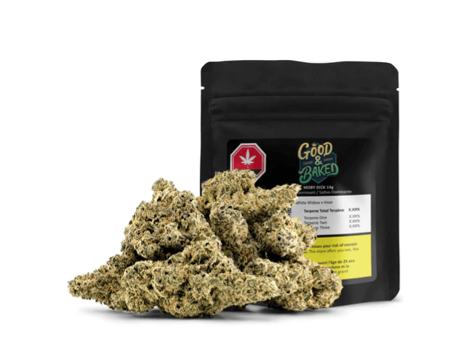 Good & Baked Moby Dick