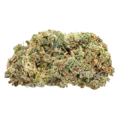 Trailblazer Fire G13