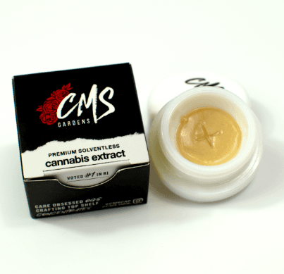 CMS Gardens Black Maple Cold Cure Live Rosin