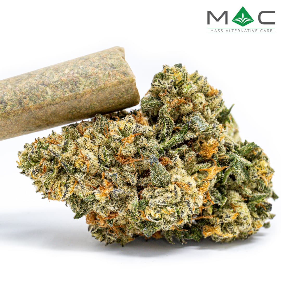 Mass Alternative Care LA Beatnik Pre-Roll | 1g - MAC