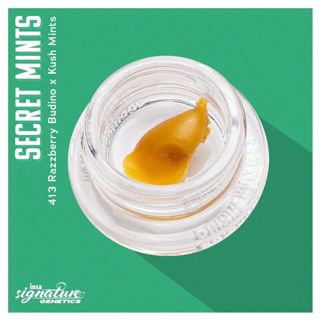 Insa Wax - Secret Mints