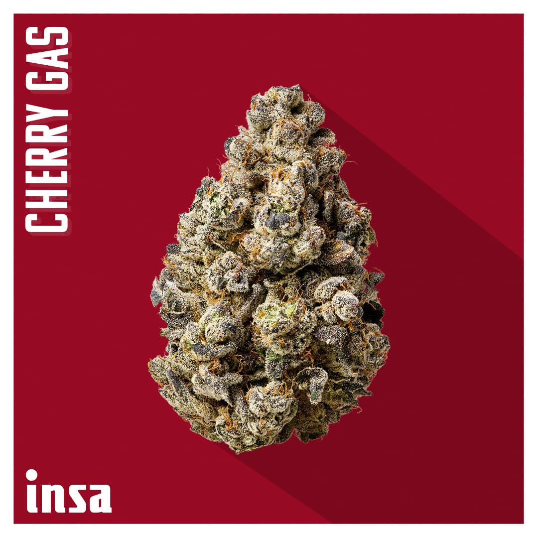 Insa Premium Flower - Cherry Gas