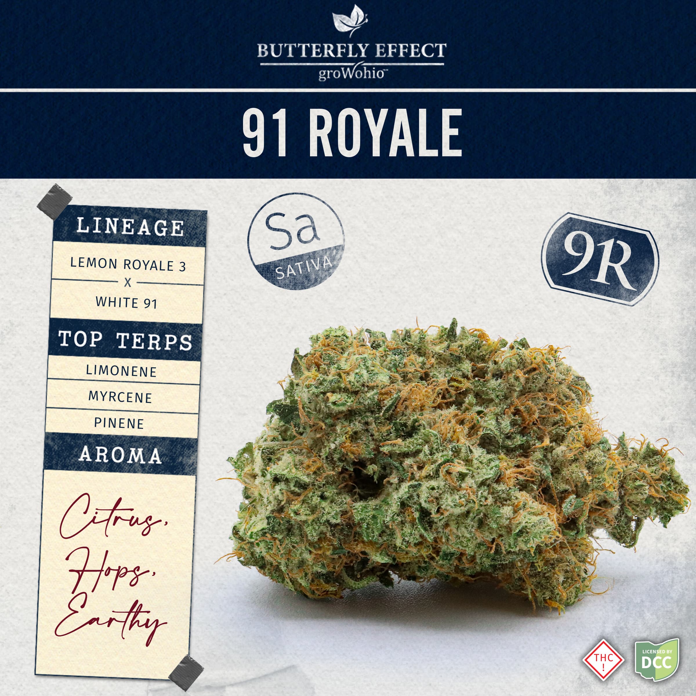 Butterfly Effect by Grow Ohio