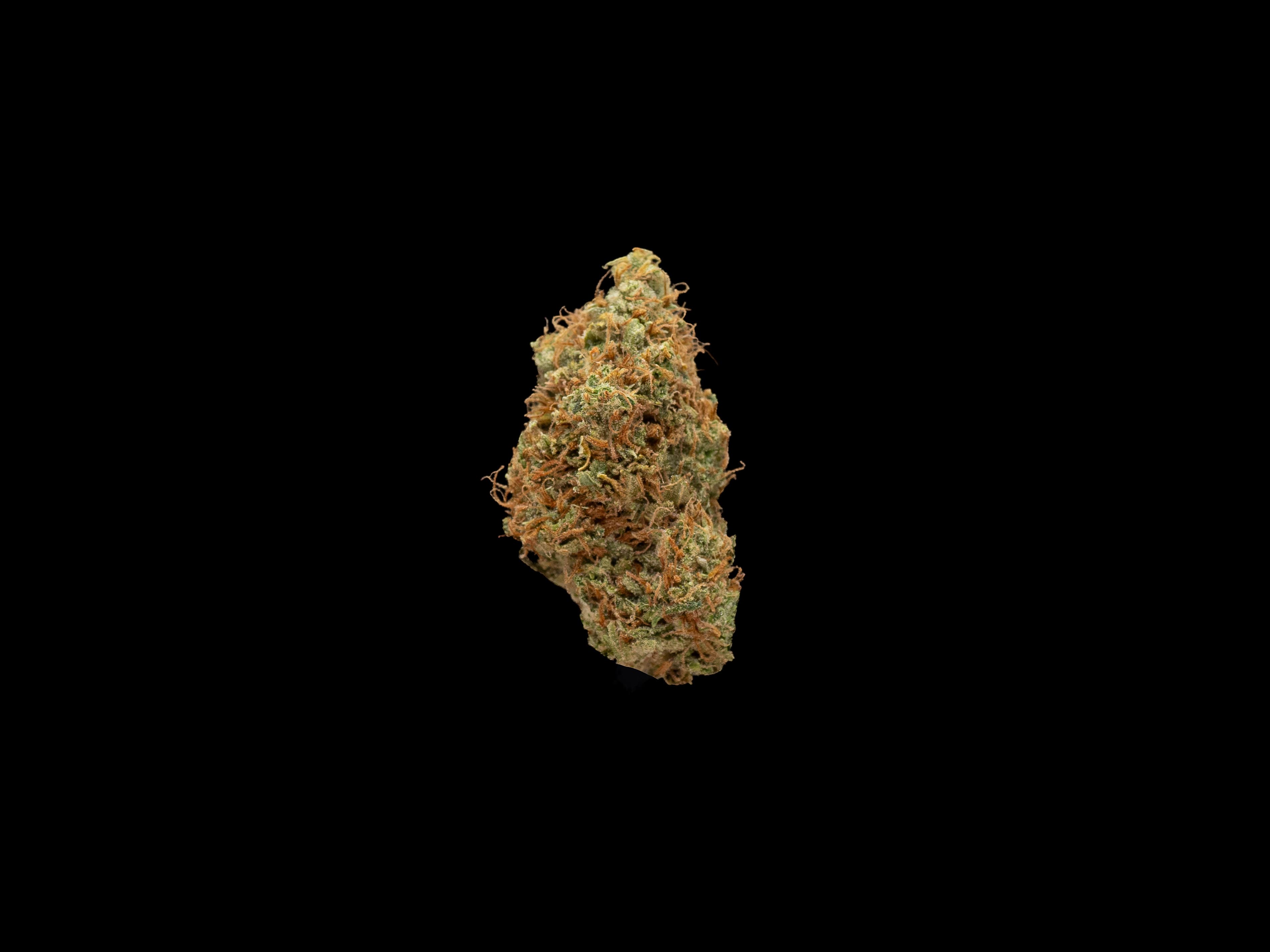 Cloud 9 Farms
