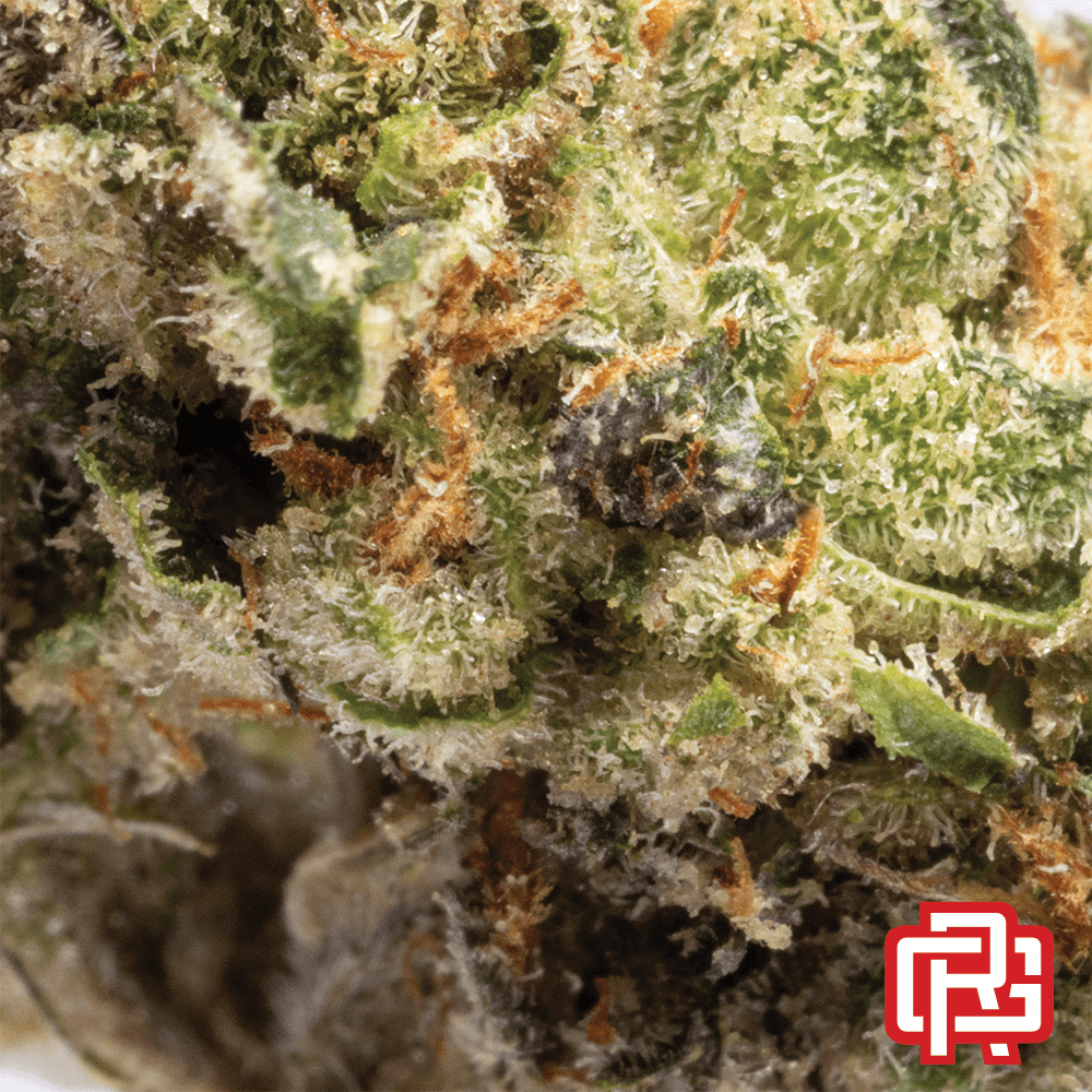 sofresh farms