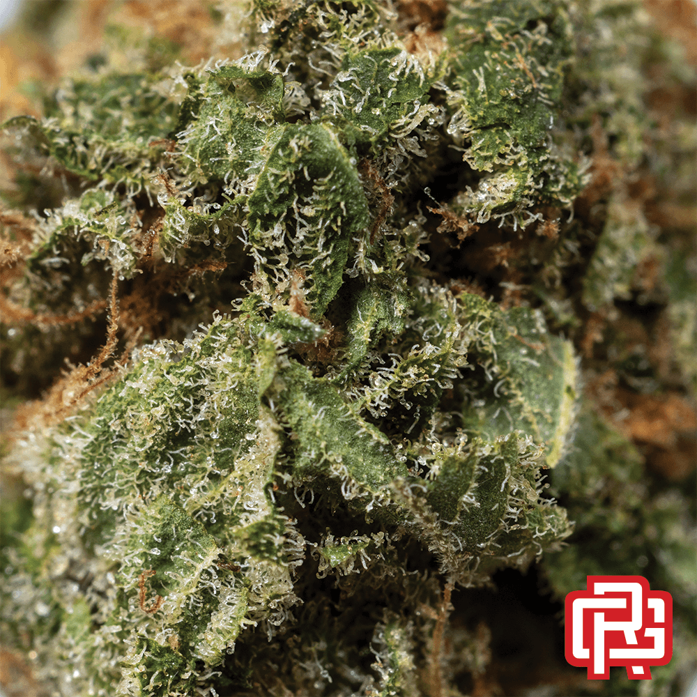 sofresh farms