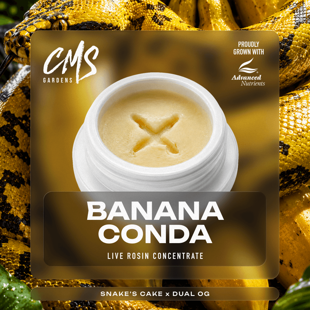 CMS Gardens Bananaconda [2g]