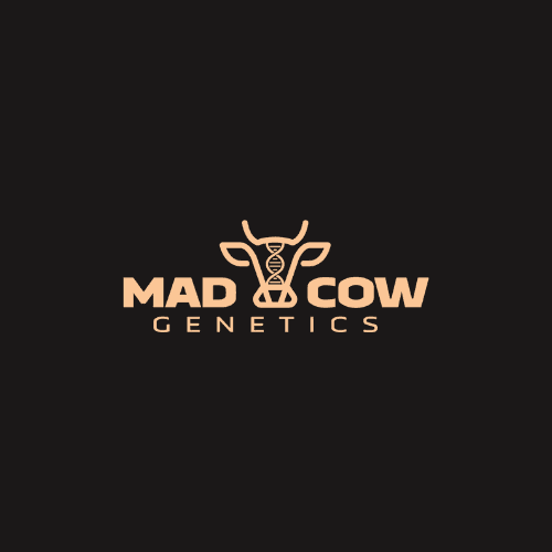 Mad Cow Genetics Mad Cow Mylar Bag | Kimochi