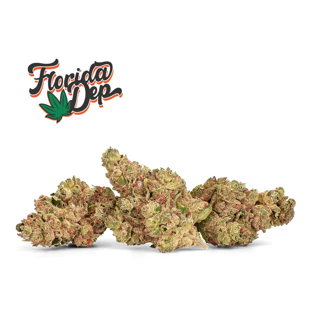 Florida Dep Wimauma Melons - Flower - 3.5g
