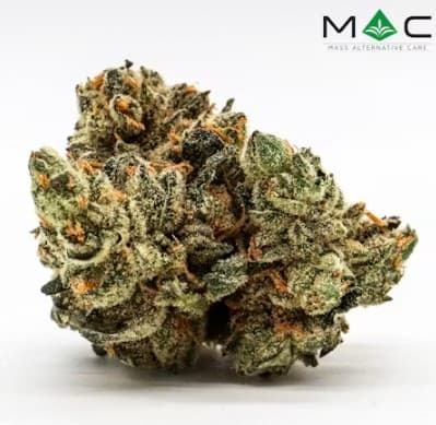 Mass Alternative Care Special Ops Small Buds | 7g - MAC