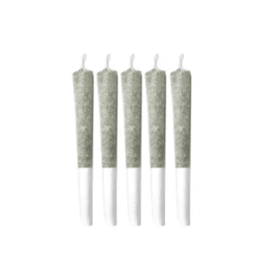 Sitka Legends Sitka Legends : Cherry Chatter Pre-Rolls (5x0.5g)