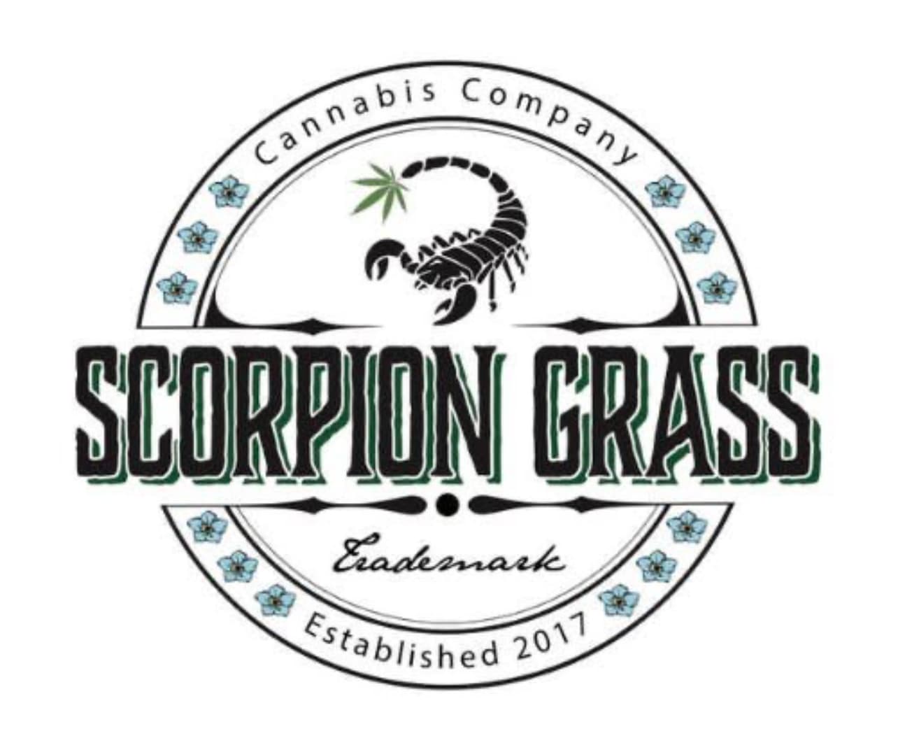 Scoprion Grass Sun Cake 1g