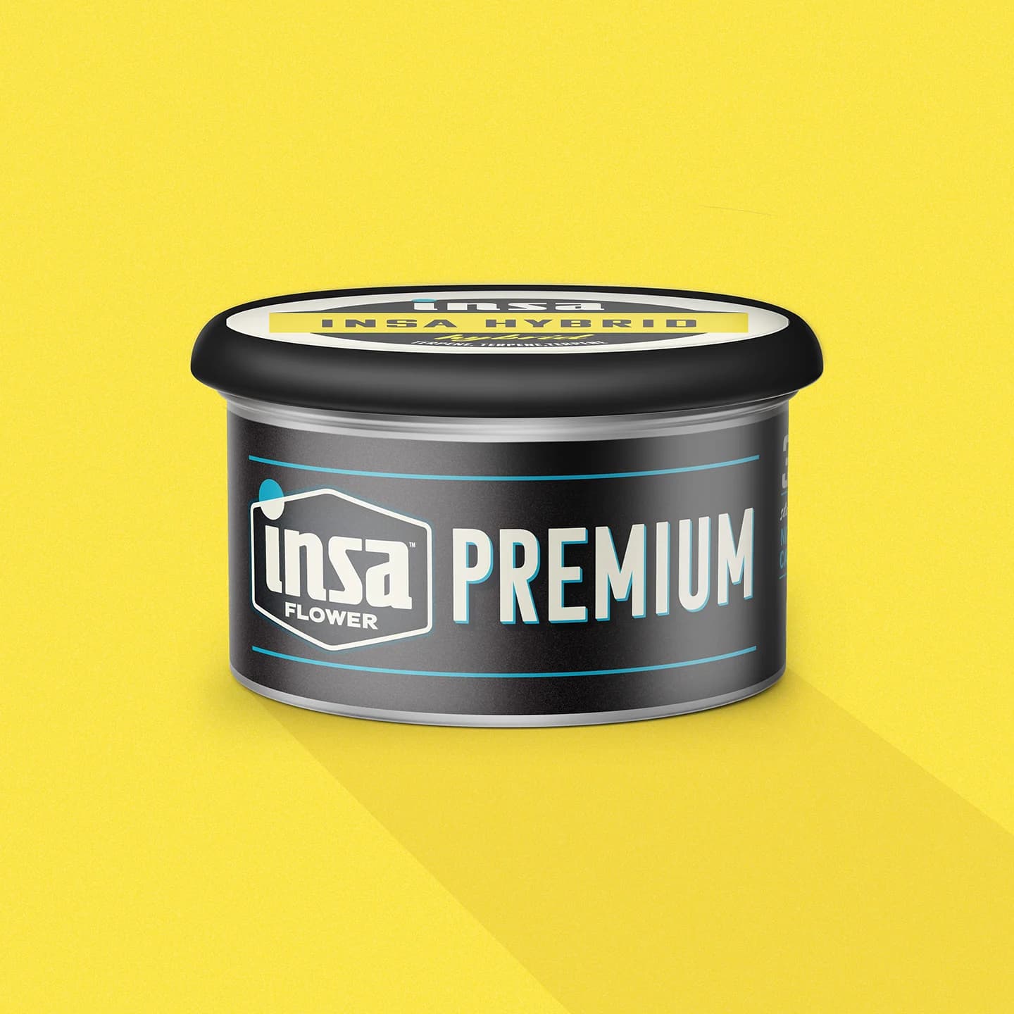 Insa
