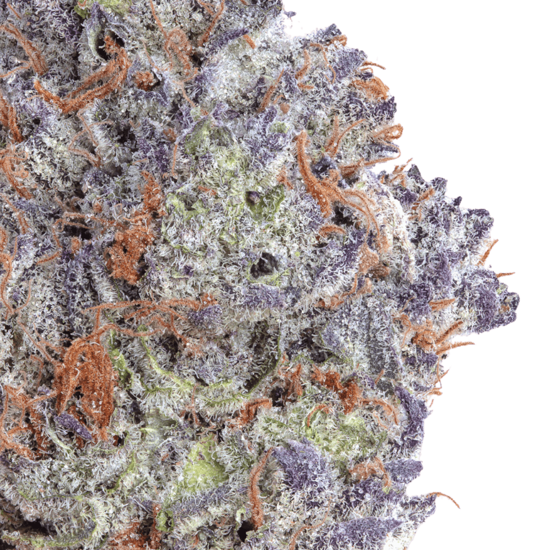 Native Sun Black Magic | Flower | 14g