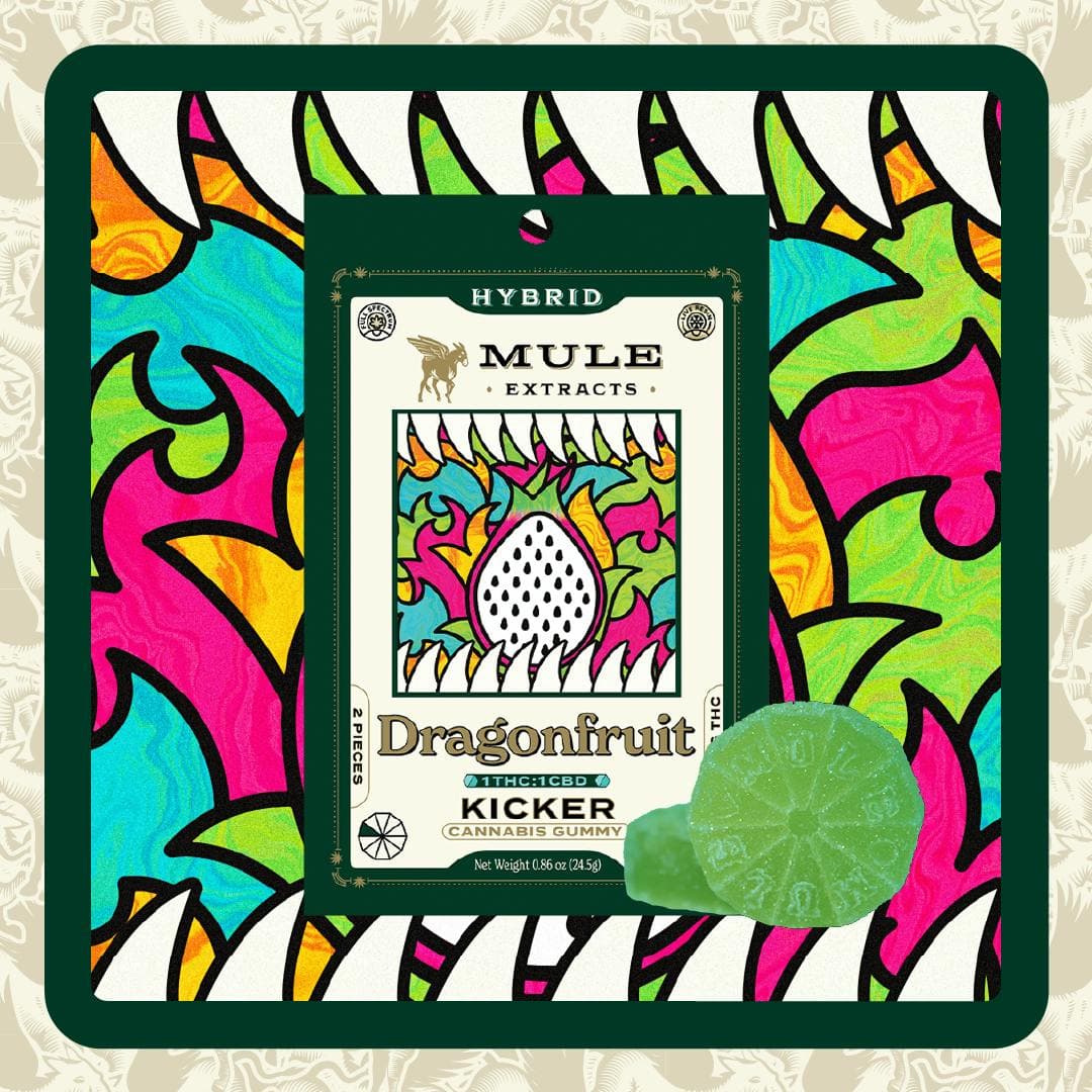 Mule Extracts Dragonfruit 1:1 (THC:CBD) (H) Mini Kickers Gummies | 10 Pieces (100mg)