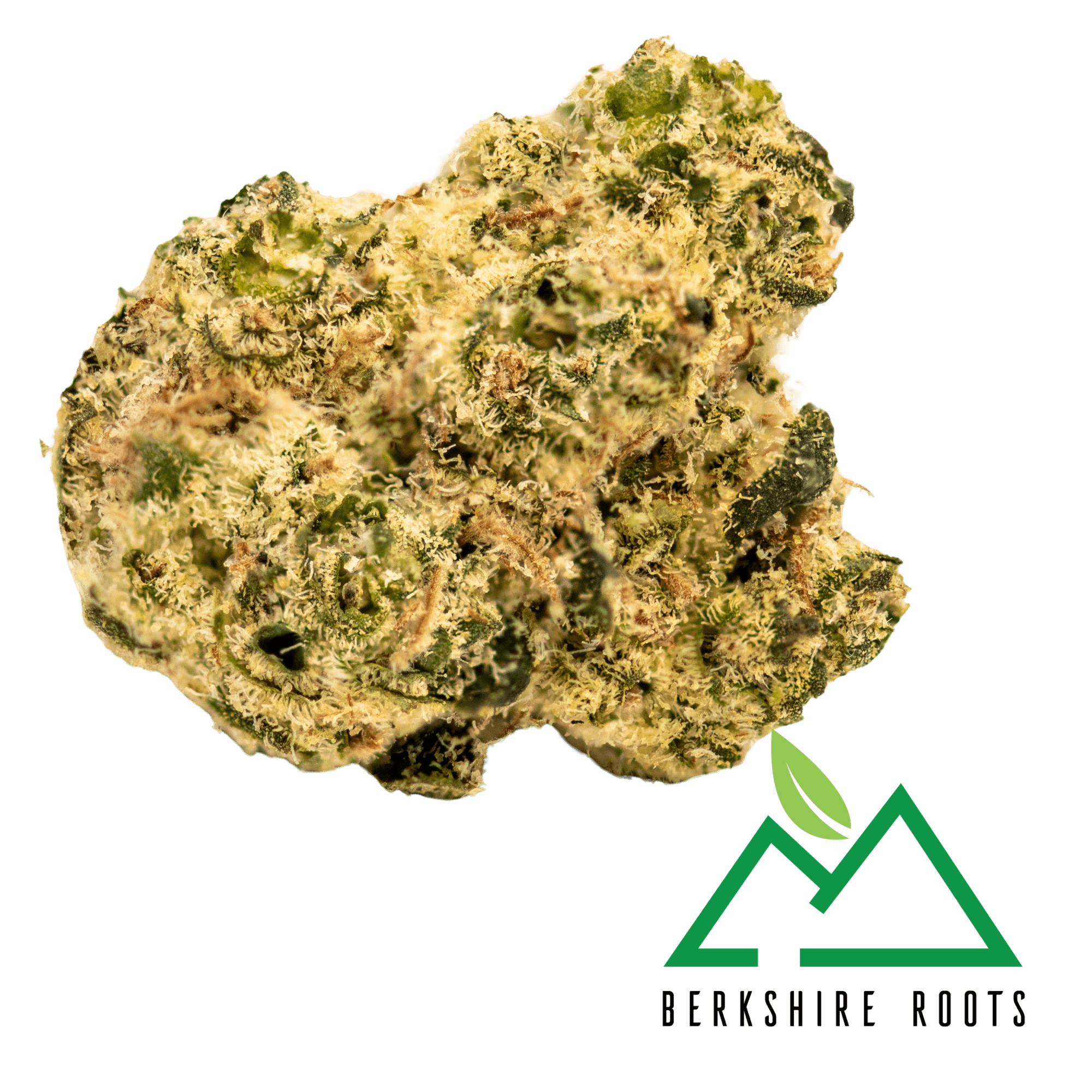Berkshire Roots D Sailor (H) | 28g Ounce