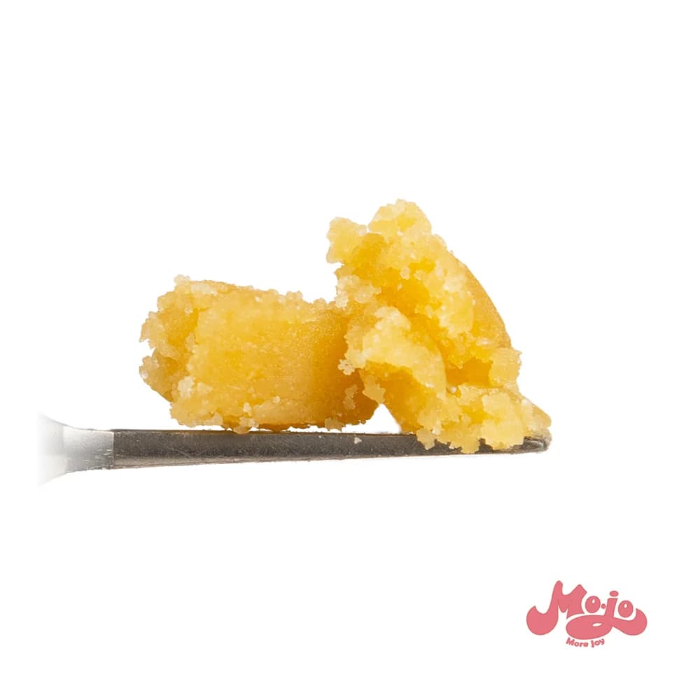 Mojo - More Joy Lemon Cherry Gelato