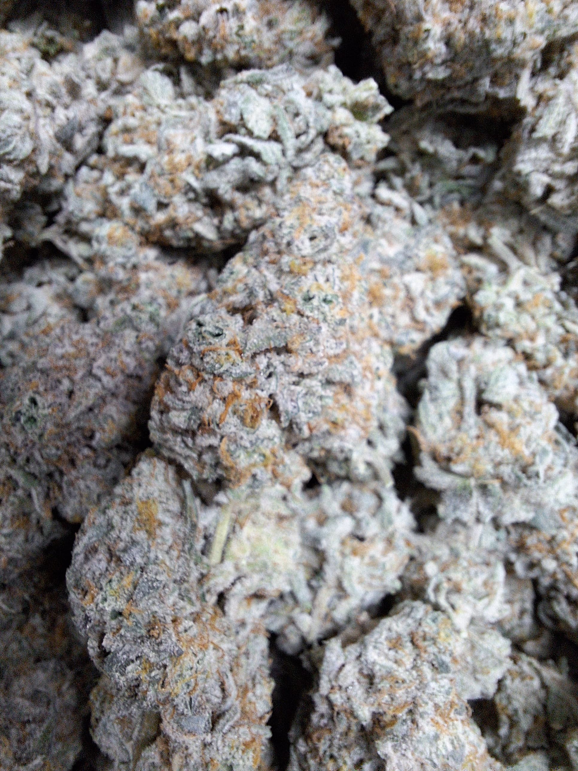 High Brix Cannabis Funk Mtn | High Brix