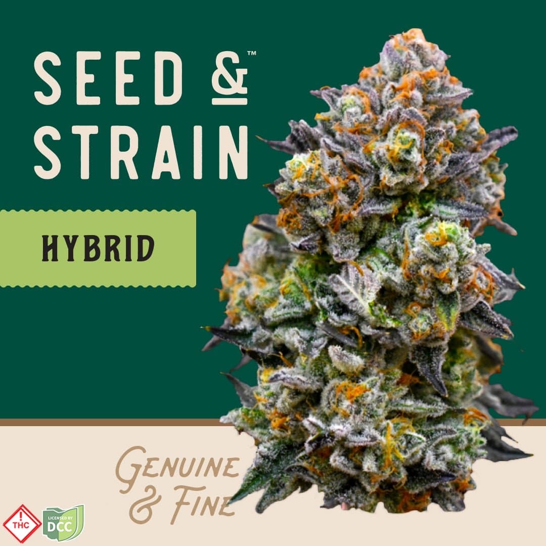 Seed and Strain Meat Pie [14.15g]