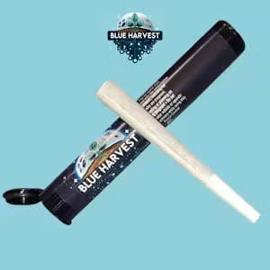 Blue Harvest Blue Harvest Permanent Kush Pre-Roll (1-PK 1G) (H)