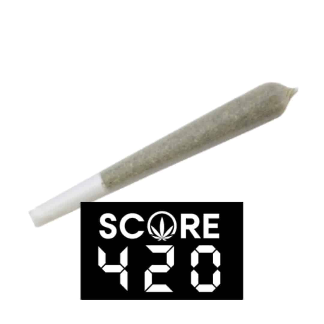 Score 420 Prerolls S420 Don Mega (H) 1g Preroll