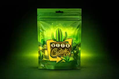 Neon Cactus Neon Cactus | Amnesia Lemon