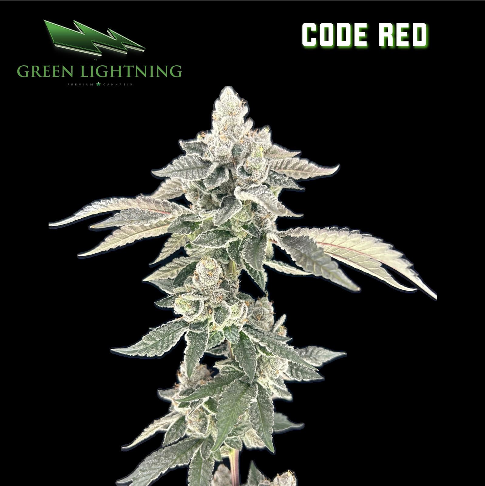 GREEN LIGHTNING