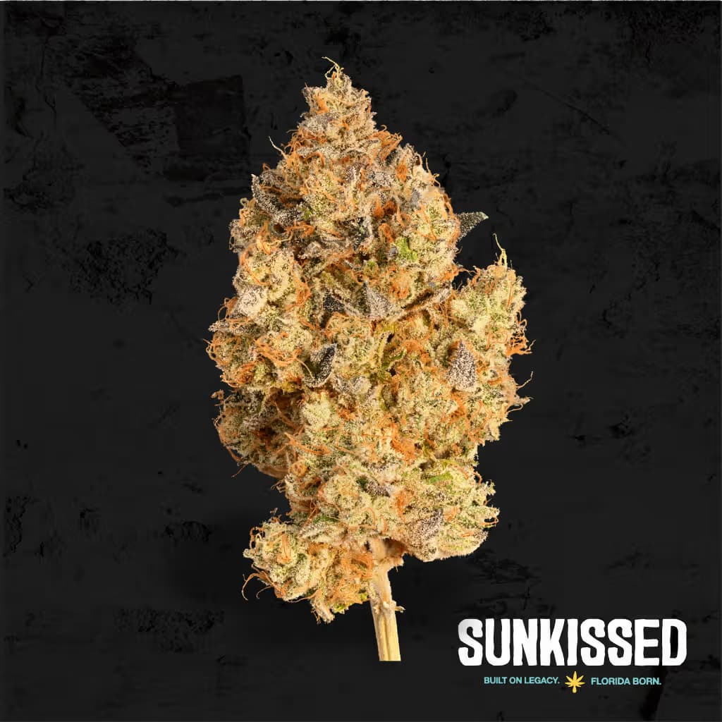 Sunkissed Chem 91 x Dosidos