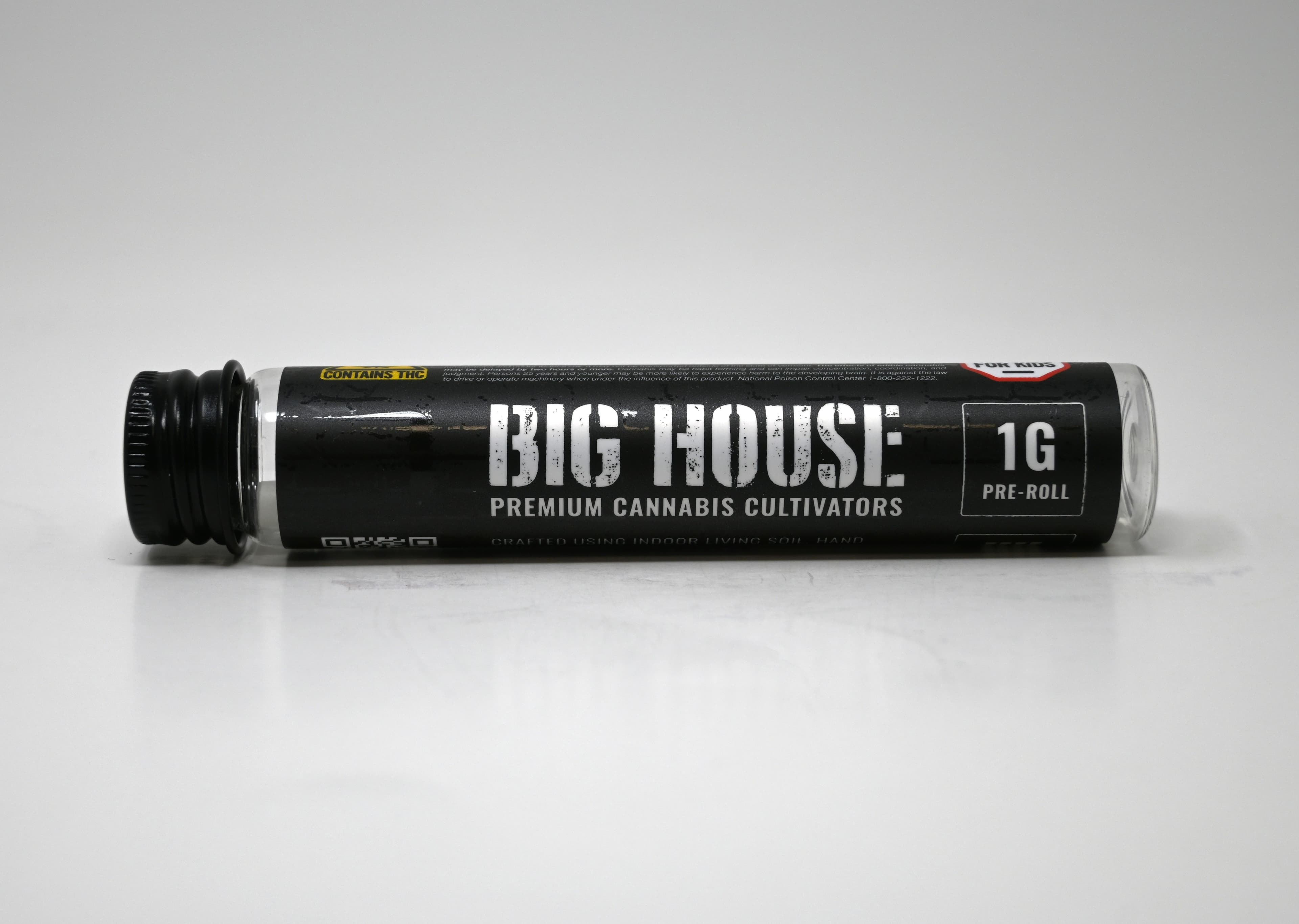 BIG HOUSE