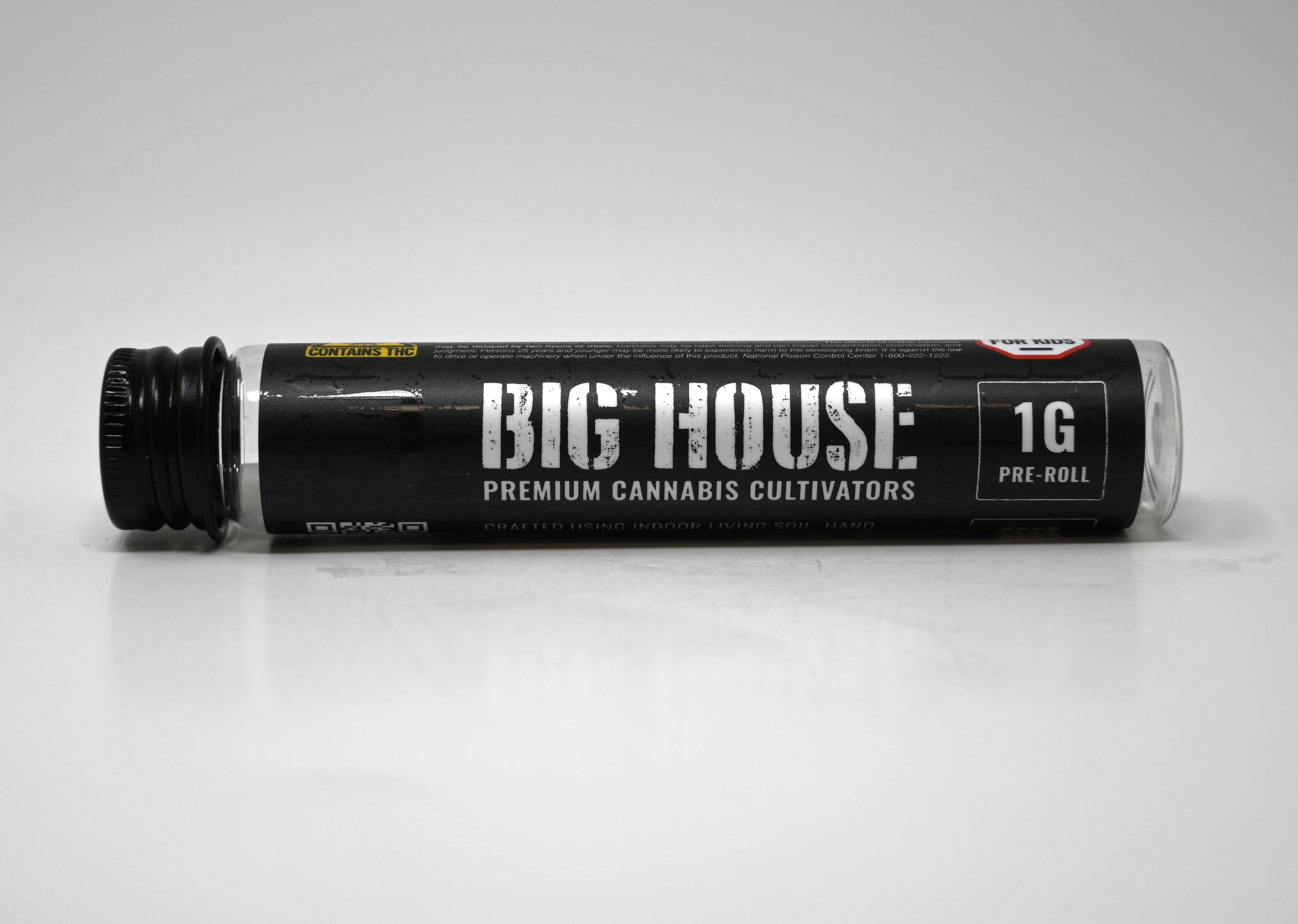 BIG HOUSE