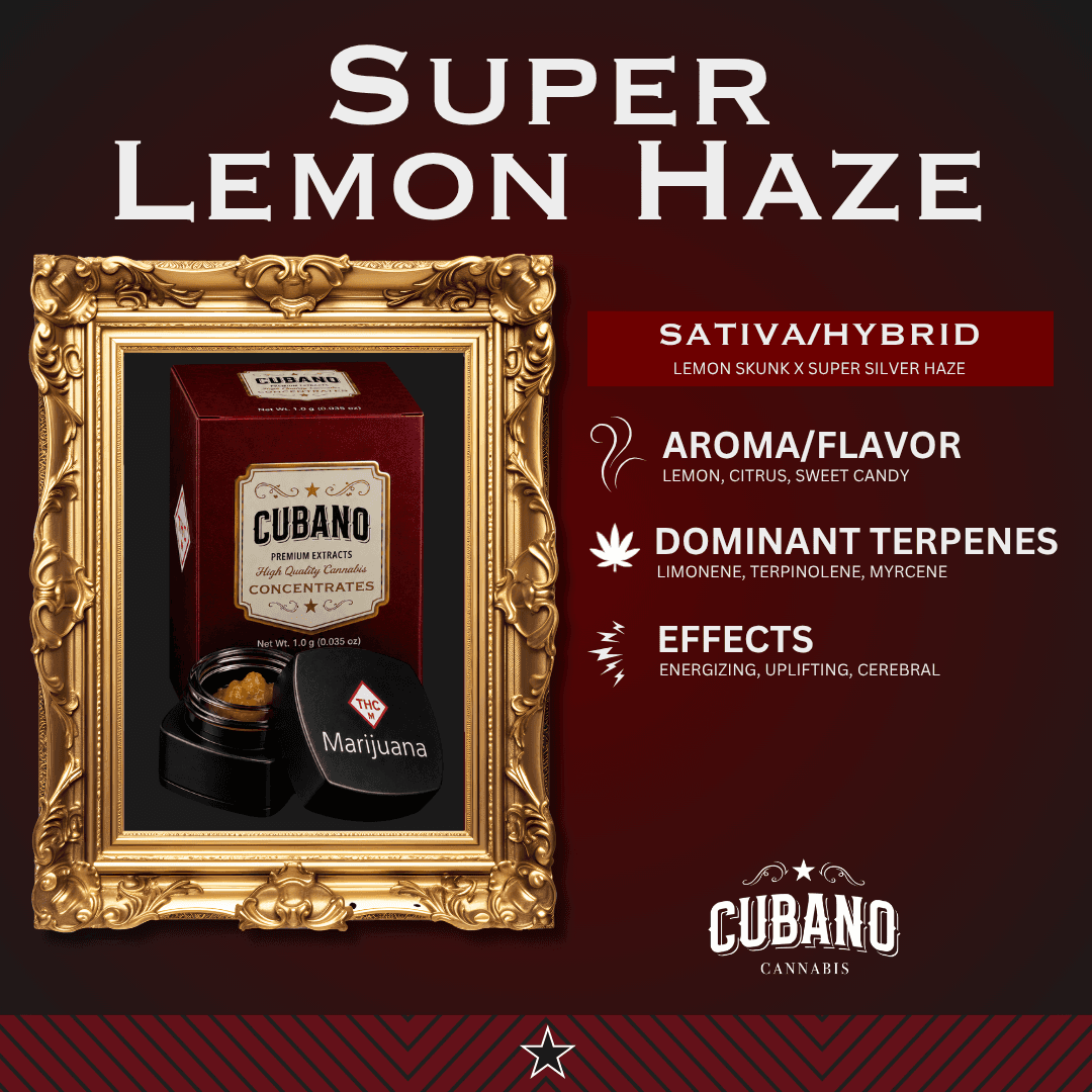 Cubano Cannabis Super Lemon Haze