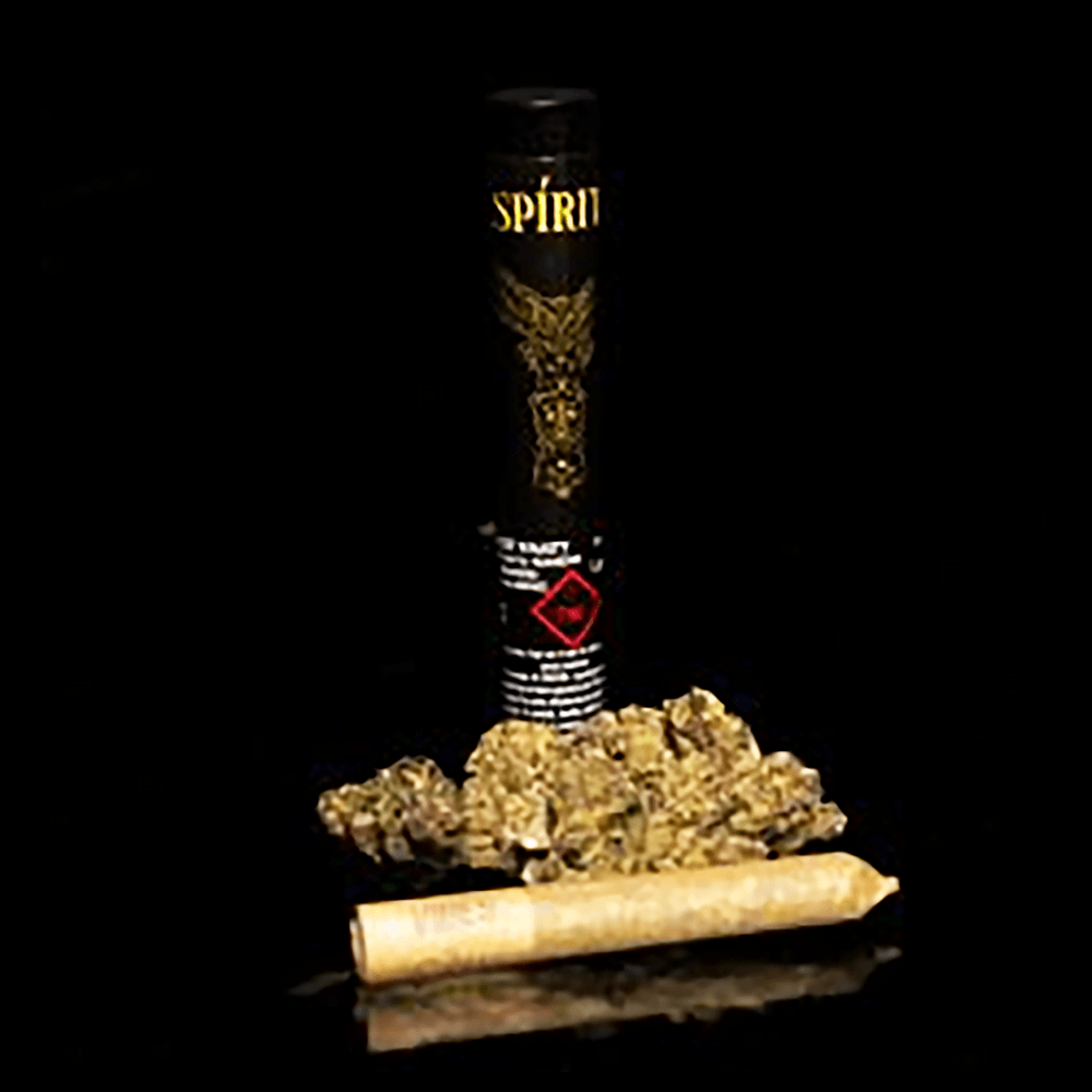 Espiritu King Louie XIII [1g]