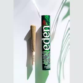 Eden Candy Mints | Hash Infused Pre-Roll | 1g