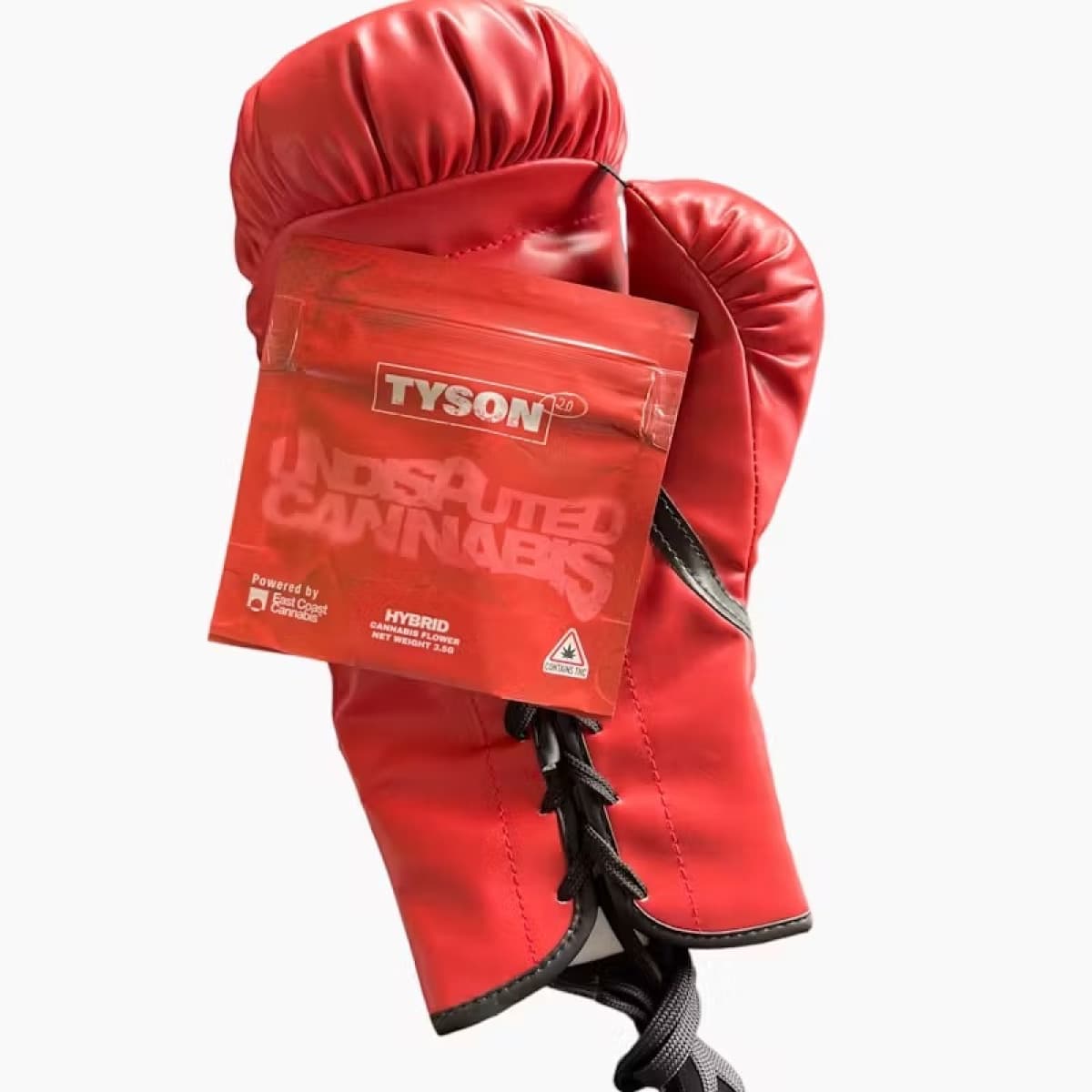 Tyson 2.0 Last Bell
