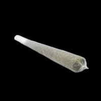 ICED INFUSED PREROLL - LEMON TREE - 1.25G