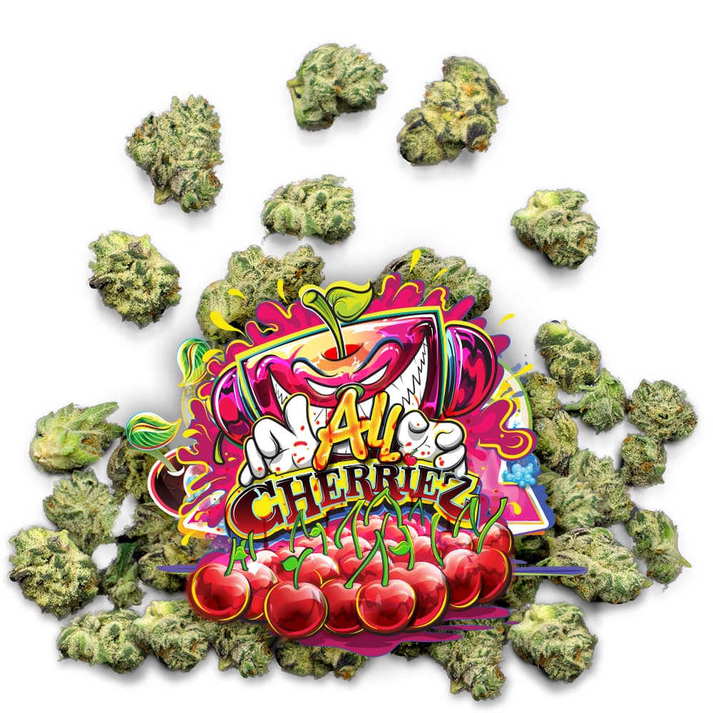 Jungle Boys All Cherriez - Pops