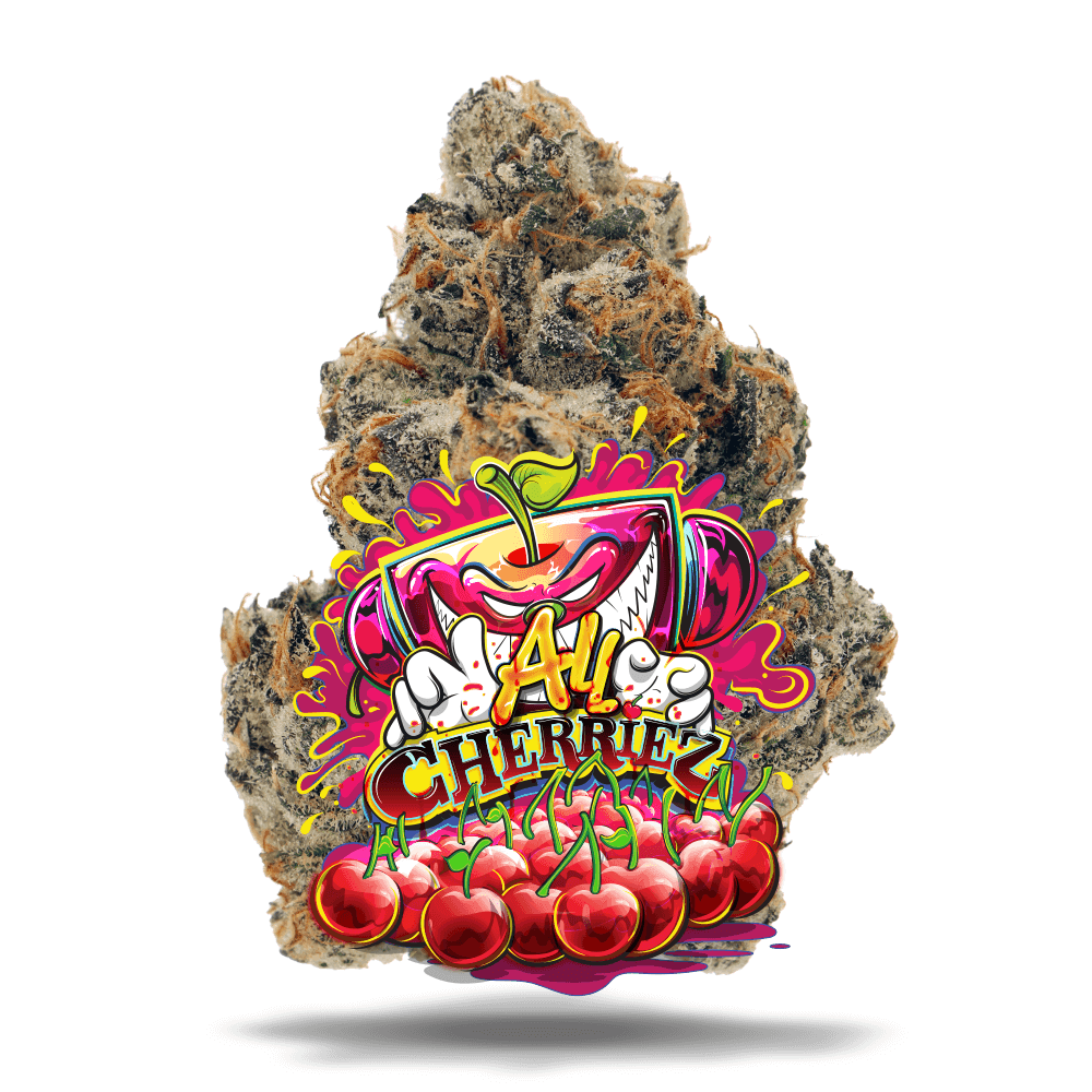 Jungle Boys All Cherriez - Premium Flower
